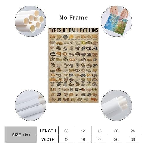 AMZPOSTERLN Vintage Snake Breeds Poster Knowledge Canvas Art Aesthetic And Wall Art Picture Decor Poster12x18inch(30x45cm) thumbnail 2