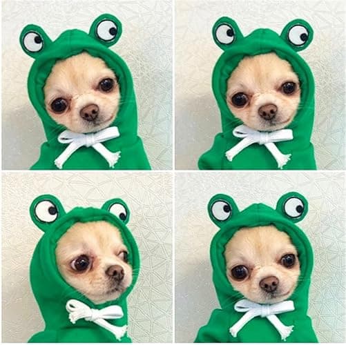 Warm Dog Winter Clothes Cute Fruit Dog Coat Hoodies Fleece Pet Dogs Costume Jacket for French Bulldog Chihuahua Ropa para Perro(Green,XXL) thumbnail 2