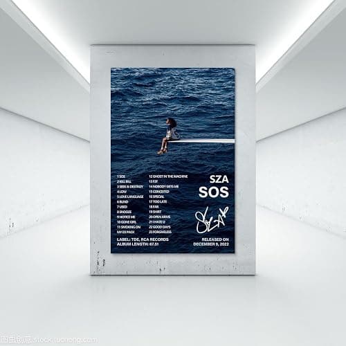 Sza Poster Sos Album Cover Poster (3) Poster Art Decor Painting Aesthetic Wall Art Canvas for Bedroom Decor 16x24inch(40x60cm) Unframe-style-1 thumbnail 7