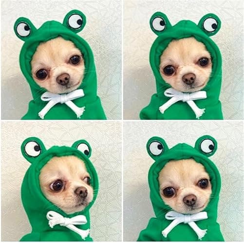 Warm Dog Winter Clothes Cute Fruit Dog Coat Hoodies Fleece Pet Dogs Costume Jacket for French Bulldog Chihuahua Ropa para Perro(Green,XS) thumbnail 3