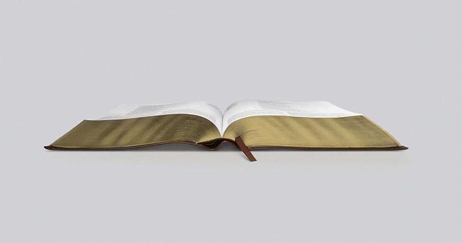 ESV Study Bible (TruTone, Walnut, Celtic Imprint Design) thumbnail 3