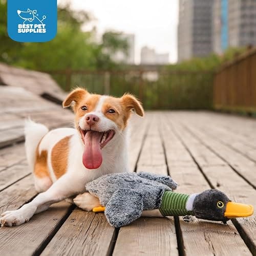 Best Pet Supplies Interactive Squeaky Dog Chew Toy, Ideal Dog Toys for Chewers, Small, Medium & Large Dogs, and Fetch Lovers - Mallard Duck Wing (Gray), Large thumbnail 5