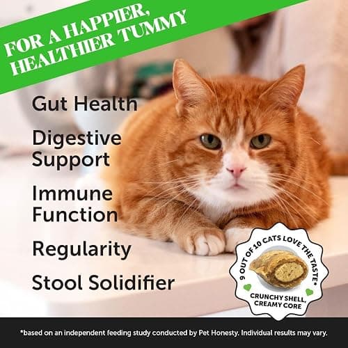 Cat Probiotics Gut + Immune Health Chews – Crunchy & Creamy Cat Treats for Digestive Health, Gut Flora & Constipation Relief – Supports Immunity, Regularity, & Healthy Digestion, 30-Day Supply Chicken thumbnail 2