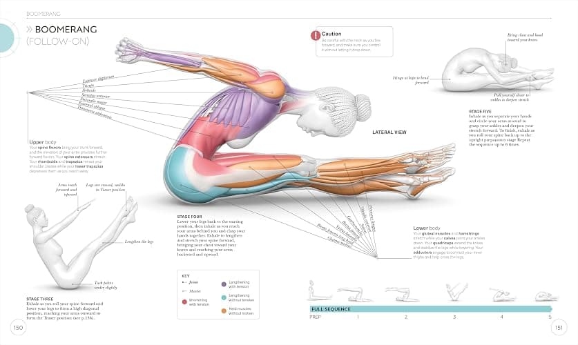 Science of Pilates: Understand the Anatomy and Physiology to Perfect Your Practice (The Science of Fitness) thumbnail 7