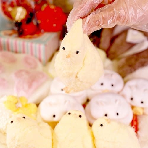 1pcs Handmade Chick Squeeze Toys Ultra Soft Squishy Fidget Toys Silicone Squishies Toys for Stress Relief ( Chicken ) thumbnail 7