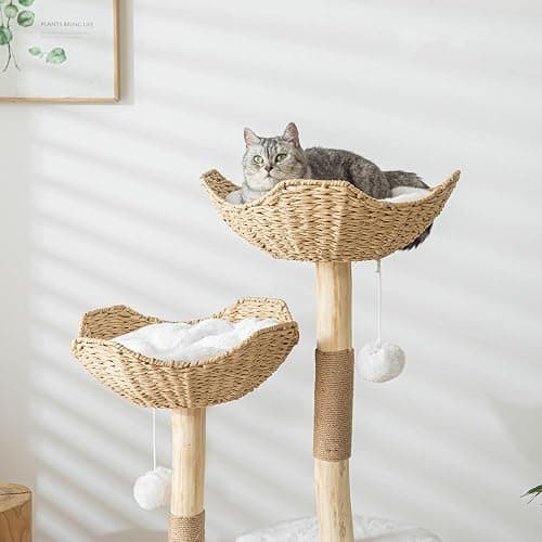 PISARRY Cat Tree Tower, 46 inch Modern Cat Tree for Indoor Cats Large Adult, Luxury Cat Condo with Scratching Post, Real Solid Wood Branch Indoor Boho Furniture, Climbing Tower, White thumbnail 3