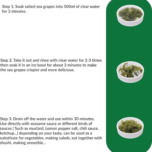 NAMISO OKINAWA Organic Sea Grapes,Organic Seaweed, Umibudo, Green Caviar, Dehyrated lato, Seagrapes , Superfood - Enhance Health, Boosting Immune System (3.5 Oz (Pack of 5), 1 box) thumbnail 5