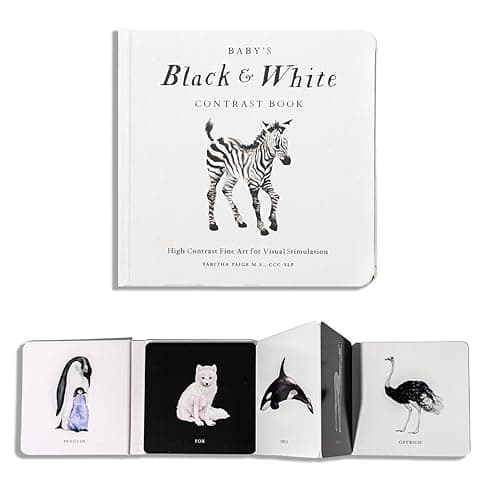 Black and White Contrast Book (Our Little Adventures)