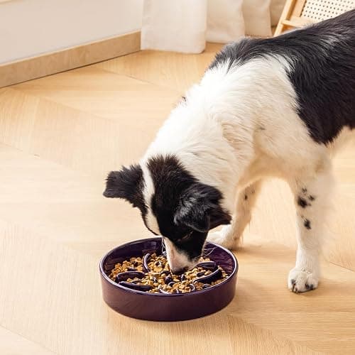 vancasso Ceramic Slow Feeder Dog Bowls, Puzzle Dog Food Bowls with Floral Maze, Anti -Slip Pet Food Dish for Large Breed, 3 Cups, Purple thumbnail 7
