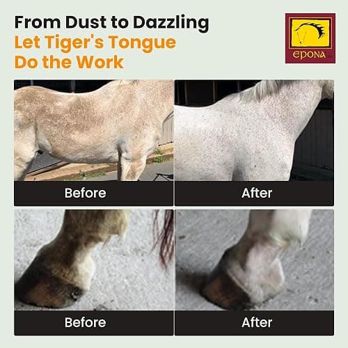 Epona Tiger’s Tongue Horse Groomer – Deep Cleaning Scrubber & Massager for Horses – Removes Dirt, Dried Sweat Marks & Dander – Gentle Grooming Tool for Body, Legs & White Markings thumbnail 5