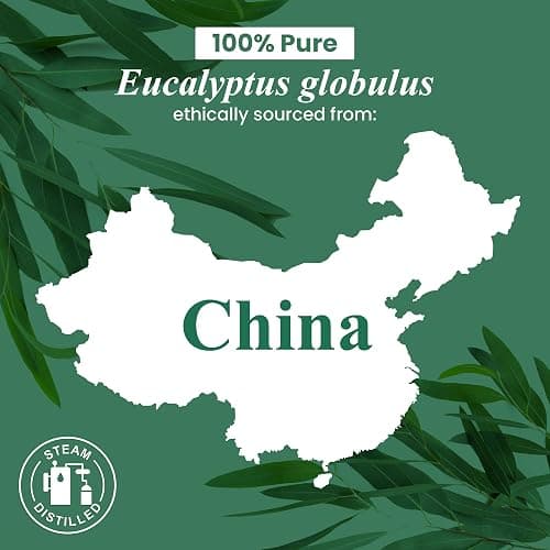 Handcraft Blends Eucalyptus Essential Oil in Glass Bottle – Huge 16 Fl Oz – 100% Pure and Natural – Premium Grade Oil for Diffuser and Aromatherapy, Skin, Massage, Candle and Soap Making Fragrance thumbnail 7