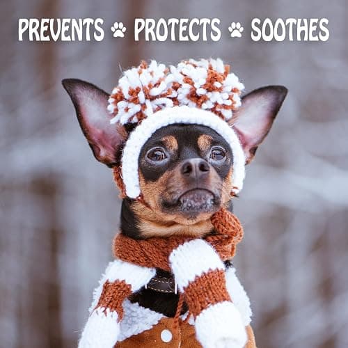 Musher's Secret All-Natural Dog Paw Balm, All-Season Paw Protector, 60g | Moisturizing paw balm for dogs, protects from hot pavement, ice and rough terrain, invisible barrier, all-season paw care thumbnail 5