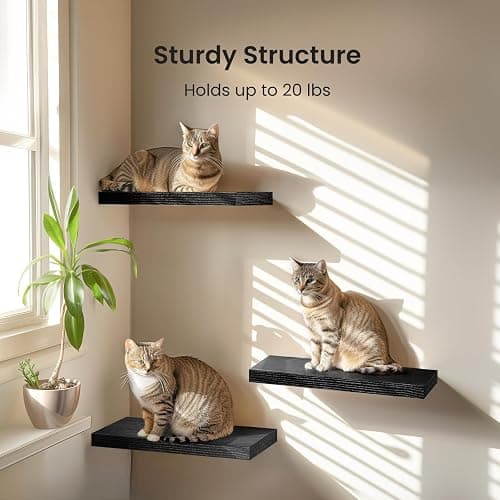 black floating shelves thumbnail 3