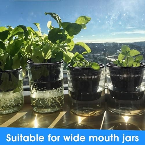 mekueeex 6 Pcs Hydroponic Baskets Aquatic Black Plastic Garden Mesh Net Pot Hydroponic Pots Slotted Pond Basket Aquarium Plant Pots for Lily Hydroponic Nursery Grow Planting Supplies thumbnail 2