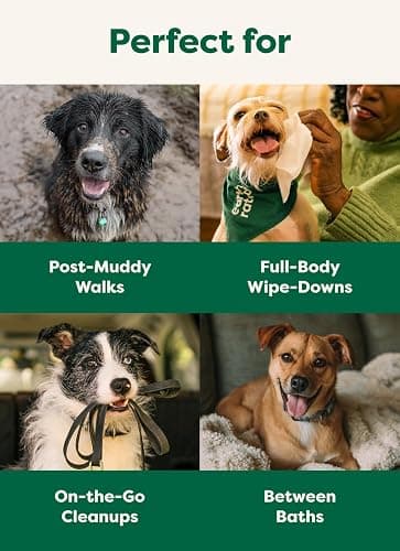 3-in-1 Dog Wipes for Paws & Butt, Deodorizing, White Tea & Basil 100ct | Hypoallergenic, 3-in-1 Cleaning and Hydrating, for Grooming Paws, Body and Butt thumbnail 7