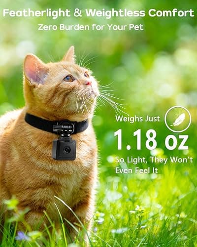 AEZ Pet Camera Collar with APP Control, 1080P HD Pet POV Camera, 210-mins Recording Wearable Action Camera with Hotspot WiFi, Magnetic Clip Camera for Cats Dogs Kids & Outdoor Use (No SD Card) thumbnail 4