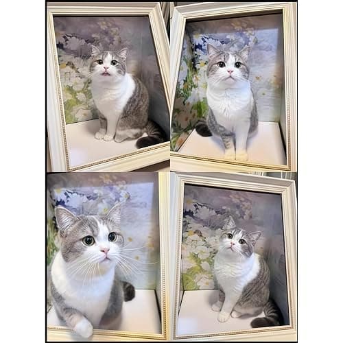 Oil Painting Cat House with Scratcher,Cat Bed Art Picture Frame Scratching Board Playing Tent Box, Assemble Kitty Couch Cave Condo Creative Pets Furniture - Kitty Living in Famous Painting thumbnail 7