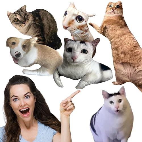 Ugly cat pillow - Image 1