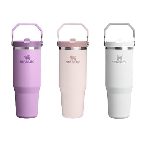 STANLEY Flip Straw Tumbler 1.0 Gourde Avec Paille 0.89L - Froid Pendant 12 Heures - Gourde Isotherme - Sans BPA - Thermos Facile à Transporter - Va au Lave-Vaisselle - Rose Quartz thumbnail 10