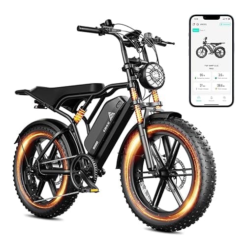 TST Electric Bike for Adults 1500W Peak 20" Fat Tire All-Terrain E-Bike 60/110 Miles 28MPH Electric Dirt Bike for Road Sand Mountain Snow - 48V 15/25AH Battery Powered Electric Motorcycle - R00M-BLACK-25AH