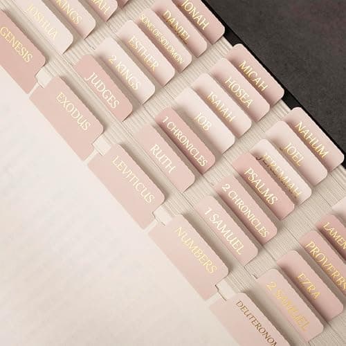Lumintutu Laminated Bible Tabs, Gold Foil Large Print Lettering, 90 Tabs Bible Study Journaling Supplies, Christian Gift for Women and Men, She Reads Truth Bible (Pink) - Image 1