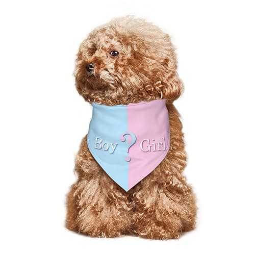 vercosee He Or She What Will It Be? Gender Reveal/Baby Announcement Dog Bandana,Pet Neckerchief for Pets Daily Wear Photo Prop Party Supplies (Blue) thumbnail 7