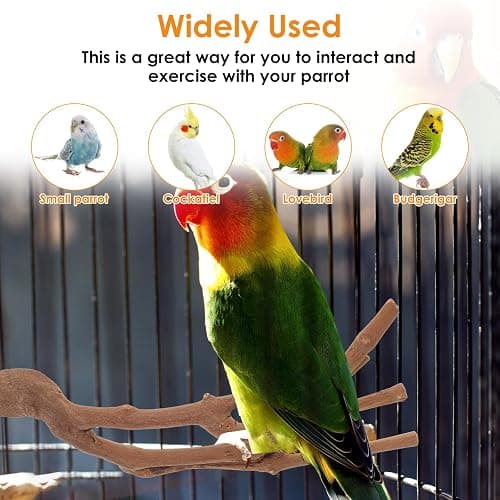 5 Pieces Wood Bird Perch, Natural Wooden Parrot Perches Stand Toys,Practical Hanging Multi-Branch Perch Platform Hammock Swing Toy,Bird Cage Accessories for Macaws Parakeets Conures Budgies Finches thumbnail 4