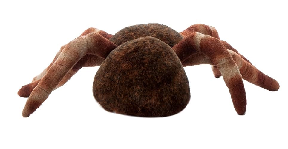 The Petting Zoo Sitting Tarantula Stuffed Animal Plushie, Wild Onez, 12 in | Tarantula Realistic Wildlife Zoo Animals by Zoologee. Great Toys for Girls and Boys. Plush Gifts for Kids thumbnail 5