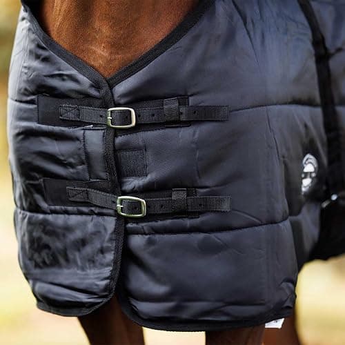 Country Pride Sentinel Channel Quilt Horse Stable Blanket, Midweight Open Front, 420D Nylon Outer Shell, 250g Poly-Fill Insulation, Wither Protection, Adjustable Leg Straps, Bias Surcingle (54,Black) thumbnail 5
