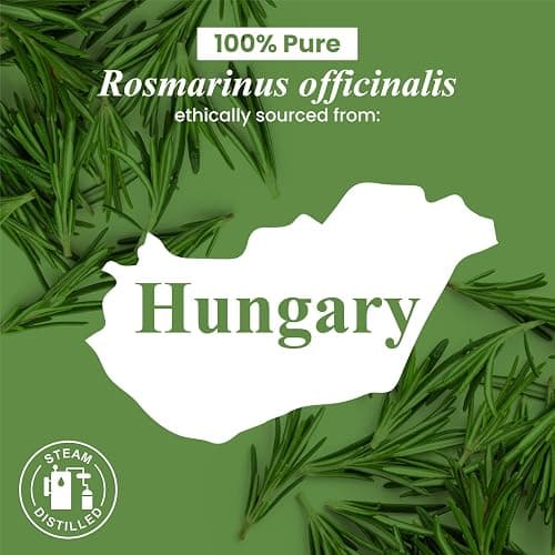 Handcraft Blends Rosemary Essential Oil – Huge 4 Fl Oz – 100% Pure and Natural – Premium Grade Essential Oil for Diffuser and Aromatherapy, Skin, Massage, Candle and Soap Making Fragrance thumbnail 8