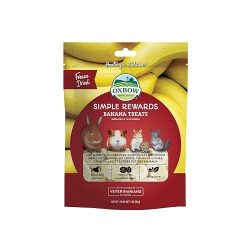 Oxbow Simple Rewards Small Pet Treats, Banana, Freeze Dried Fruit, Guinea Pig & Bunny Treats, Healthy Pet Fruit Snack for Rabbit & Guinea Pig, Freeze Dried Bananas, 1 oz Bag - Image 1
