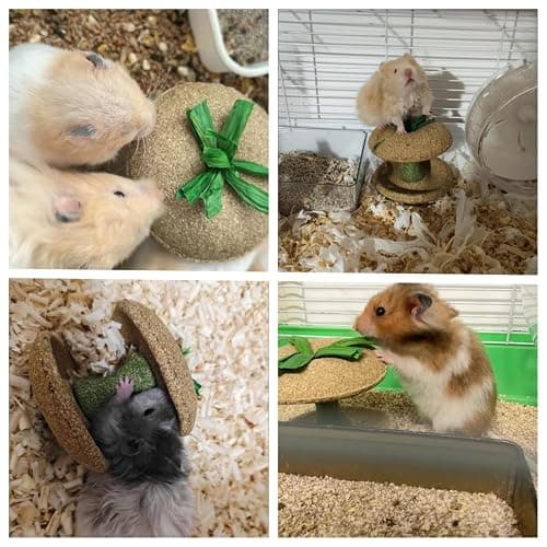 Jwizyotr 2PCS Hamster Chew Toys for Teeth Guinea Pig Treats Hamster Stuff Cage Accessories for Chinchilla Guinea Pig Rat thumbnail 6