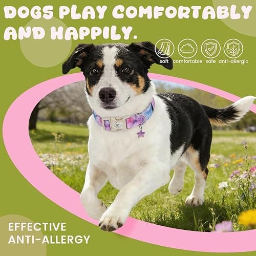 Elegant little tail Dog Collar - Colorful Print Dog Collars Cute Spring Puppy Adjustable Pet Collars with Sturdy Quick Release Buckle for Medium Dogs thumbnail 4