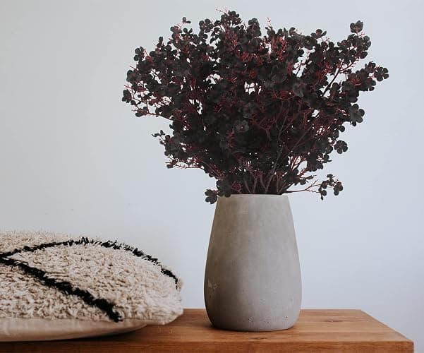 Hananona 10 Pcs Babys Breath Artificial Flowers Black Fake Silk Flowers for Halloween Home Decor Floral Arrangement Table Centerpieces (10, Black) thumbnail 2