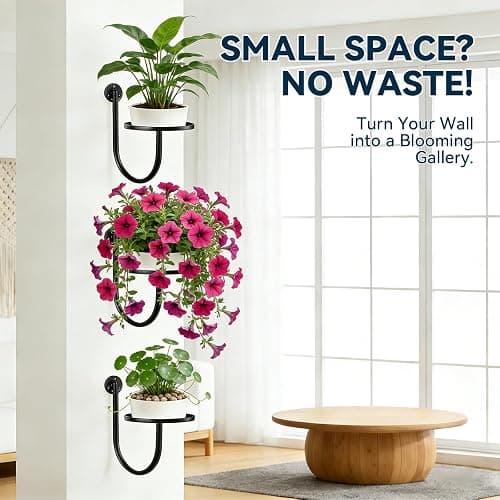 XNGZY Wall Planters for Indoor Plants, 3 Pack Wall Mounted Plant Holder, Metal Plant Floating Decor Shelves, Space Saving, for Bedroom, Living Room, Kitchen, Office, Bathroom Decor thumbnail 6