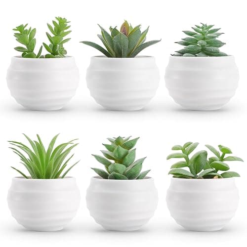 Der Rose Set of 6 Succulents Plants Artificial in Pots Small Fake Plants for Bedroom Aesthetic Living Room Shelf Bathroom Decor Office Desk Accessories - Image 1