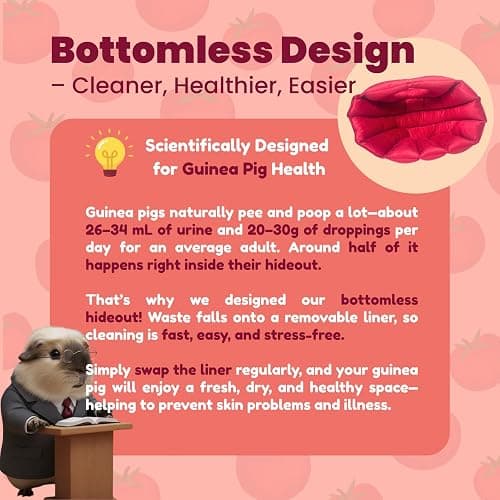 CAVYPOP Guinea Pig Hideout Bed, Tomato-Shaped Bottomless Plush House | Cute tomato design. Bottomless easy-clean structure. Thick plush comfort. Cozy hideout for guinea pigs thumbnail 2