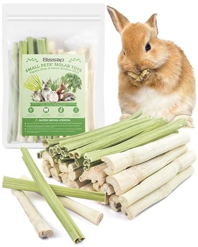 Bissap 40PCS Rabbit Chew Sticks, 20PCS Sweet Bamboo Chew Sticks & 20PCS Papaya Stems Bunny Chews for Rabbit Hamster Chinchilla Guinea Pig Small Animals Natural Molar Treats - Image 1