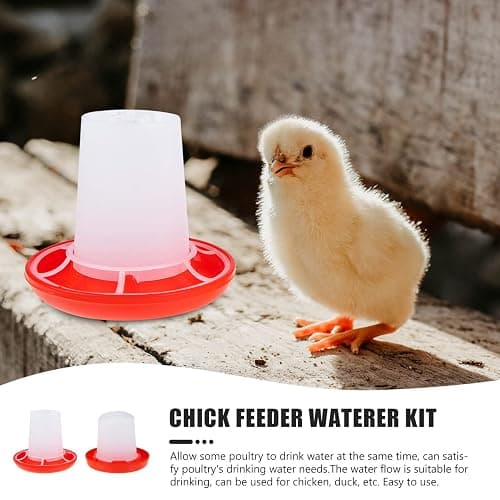 IMIKEYA 1 Set Quail Feeder Chick Feeder Quail Waterer Small Chick Feeder Poultry Chicken Water Jar Poultry Water Bucket Automatic Poultry Water Feeder Poultry Feeding Equipment Feeding Cup thumbnail 6