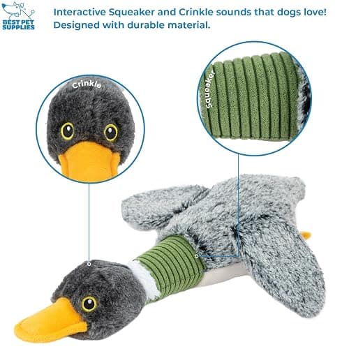 Best Pet Supplies Interactive Squeaky Dog Chew Toy, Ideal Dog Toys for Chewers, Small, Medium & Large Dogs, and Fetch Lovers - Mallard Duck Wing (Gray), Large thumbnail 3