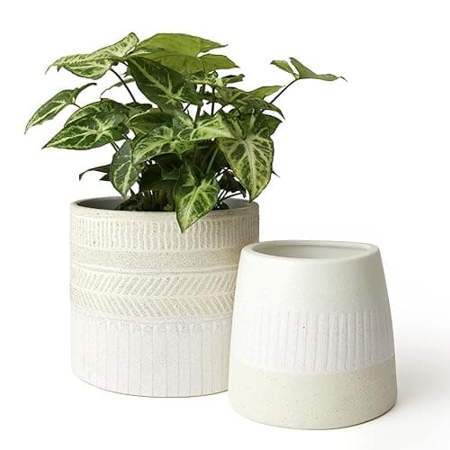 LA JOLIE MUSE Ceramic Plant Pots Set