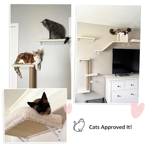 FUKUMARU Cat Wall Shelves, Stable & Safe 4 in 1 Large Cat Walls Furniture Set, Wooden Kitten Climbing Wall with Scratching Post for 16 Inch Drywall - Beige thumbnail 7