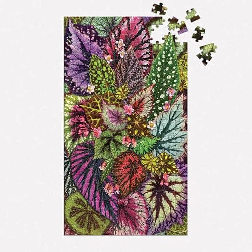 Galison Houseplant Jungle Multi Puzzle Set from Galison - Includes Three 250 Piece Puzzles Featuring Botanical Photographs from Troy Litten, Thick and Sturdy Pieces, Fun and Challenging Activity thumbnail 3