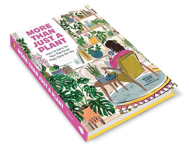 More Than Just a Plant: How to Care for Your Plants as They Care for You thumbnail 12