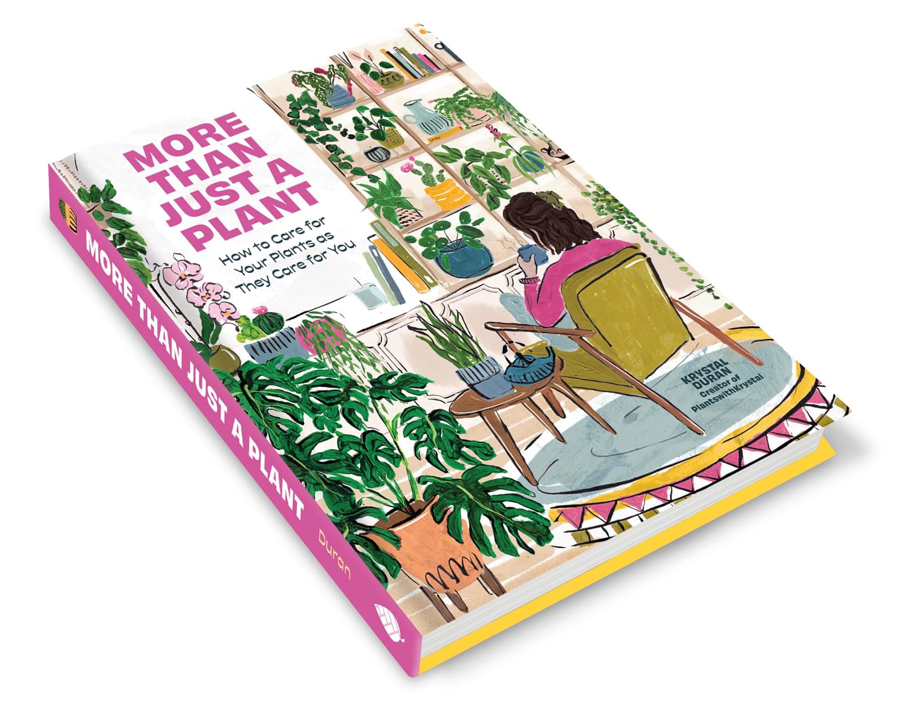 More Than Just a Plant: How to Care for Your Plants as They Care for You thumbnail 12