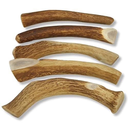 WhiteTail Naturals Deer Antlers for Dogs (1 lb Bulk Pack) Premium Antler Chews for Medium to Large Dogs – Grade A, Wild Sourced & Naturally Shed (Approx. 4-5 Count) thumbnail 5