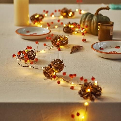 MIYA LIFE Nature Rattan Pumpkin Lights - 10FT 30 LED Cozy Fall Garland with Lights Battery Operated Charming Thanksgiving Decorations with Remote - Ideal Thanksgiving Garland Fall Decorations for Home thumbnail 3