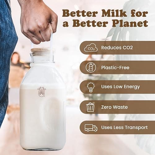 Almond Cow - Glass Pitcher with Lid and Spout, Glass Bottle Milk Container for Refrigerator, Clear Milk Jar Bottles, Food-Grade Liquid Container, 60 fl oz Capacity, 5 x 4 x 10 Inches - Glass Pitcher - 60 fl oz (Pack of 1) thumbnail 2