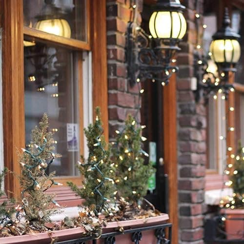 Clear Christmas String Lights 100 Count 25 Feet Incandescent Bulb Mini Lights for Indoor Xmas Tree Garland Birthday Wedding Party Festival Decoration, Green Wire thumbnail 9