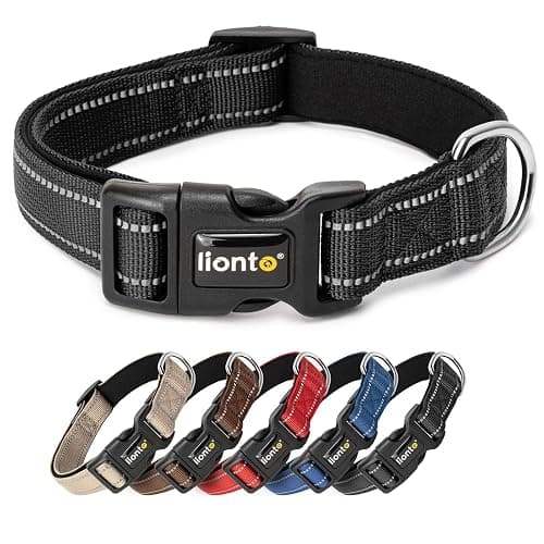 First Collar - Image 1
